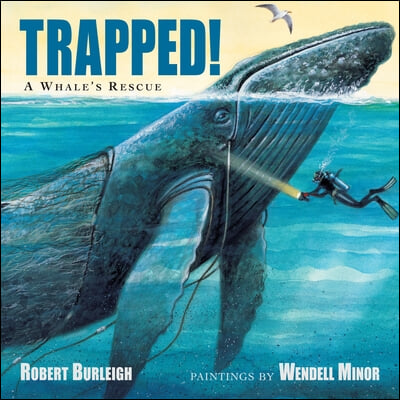 Trapped! a Whale&#39;s Rescue