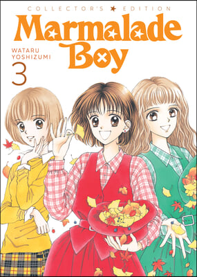 Marmalade Boy: Collector&#39;s Edition 3