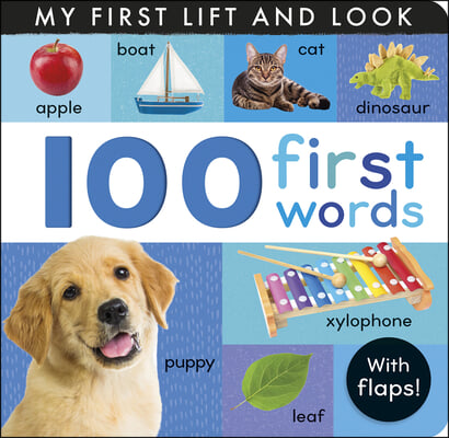 100 First Words: My First Lift and Look (with Flaps)