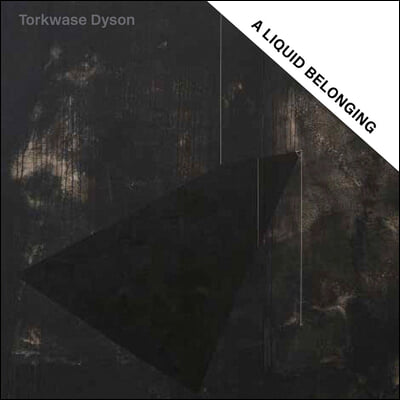 Torkwase Dyson: A Liquid Belonging