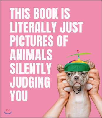 This Book Is Literally Just Pictures of Animals Silently Judging You