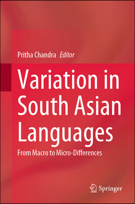 Variation in South Asian Languages: From Macro to Micro-Differences