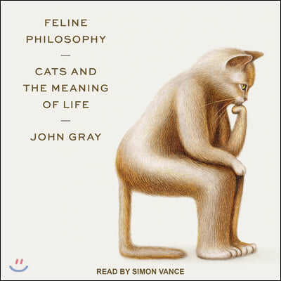 Feline Philosophy: Cats and the Meaning of Life