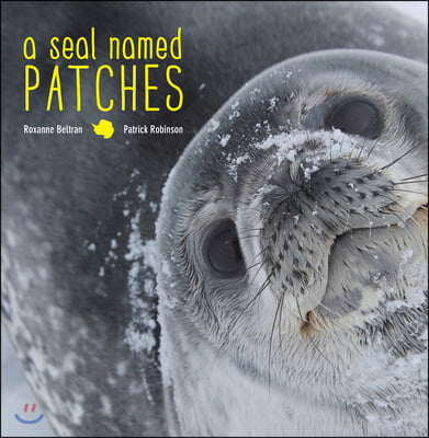 A Seal Named Patches