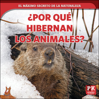 &#191;Por Que Hibernan Los Animales? (Why Animals Hibernate)