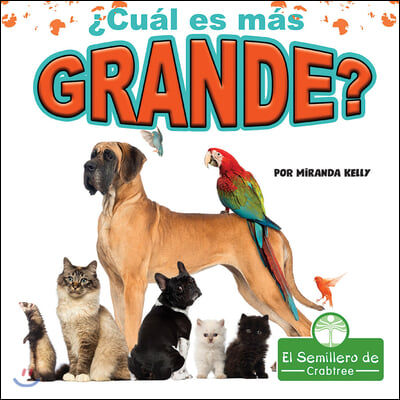 &#191;Cual Es Mas Grande? (Which Is Biggest?)