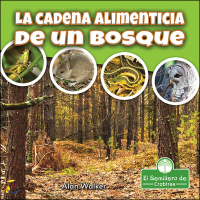 La Cadena Alimenticia de Un Bosque (Food Chain in a Forest)