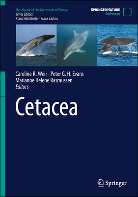 Cetacea