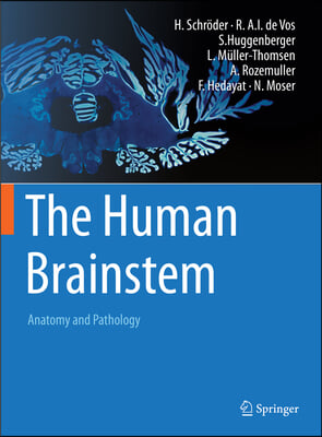 The Human Brainstem