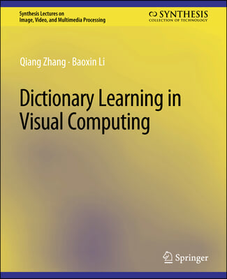 Dictionary Learning in Visual Computing