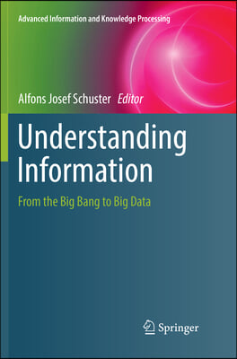 Understanding Information: From the Big Bang to Big Data