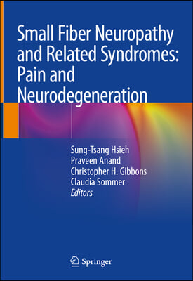 Small Fiber Neuropathy and Related Syndromes: Pain and Neurodegeneration