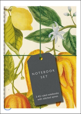 The Botanical Art Notebook Set