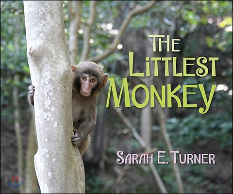 The Littlest Monkey