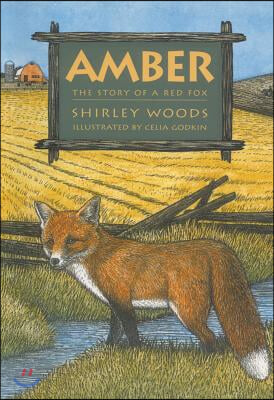 Amber: The Story of a Red Fox