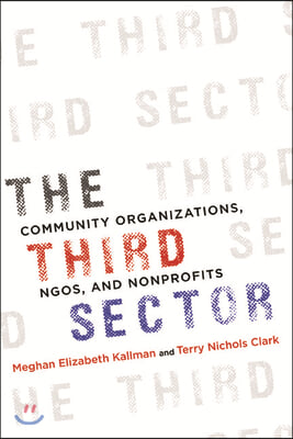 The Third Sector: Community Organizations, NGOs, and Nonprofits