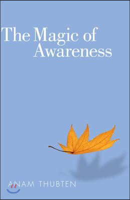 The Magic of Awareness