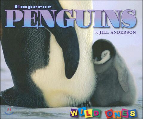 Emperor Penguins