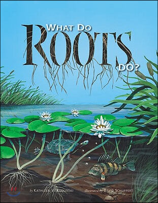 What Do Roots Do?