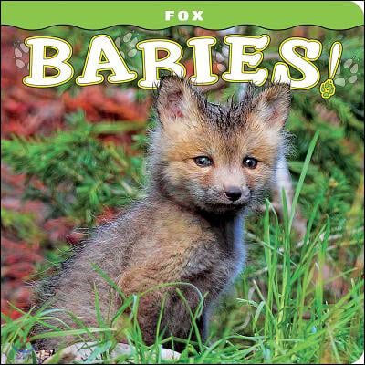 Fox Babies!