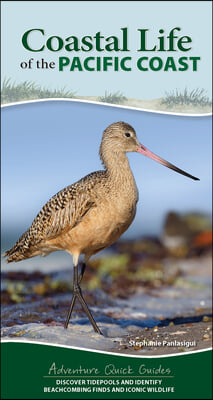 Coastal Life of the Pacific Coast: Discover Tidepools and Identify Beachcombing Finds and Iconic Wildlife