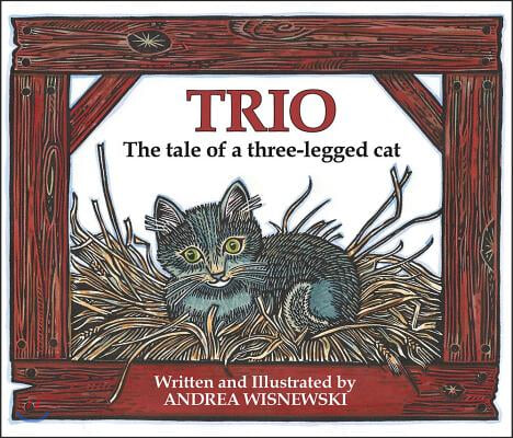 Trio: The Tale of a Three-Legged Cat