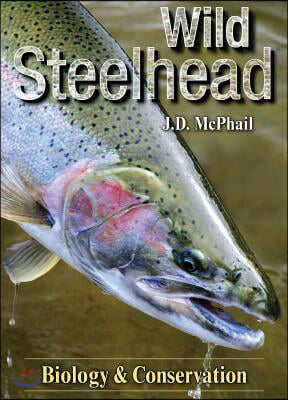 Wild Steelhead