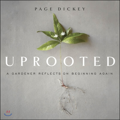 Uprooted: A Gardener Reflects on Beginning Again