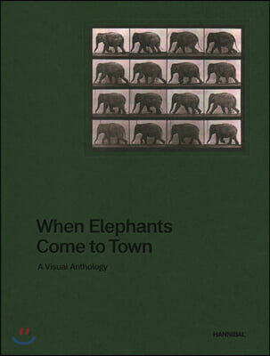 When Elephants Come to Town: A Visual Anthology