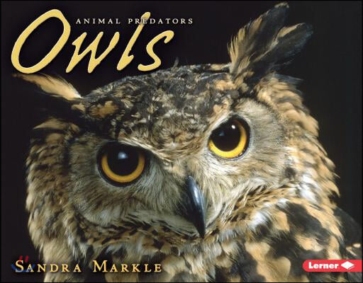 Owls (Paperback)