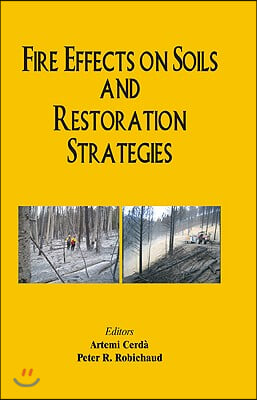 Fire Effects on Soils and Restoration Strategies