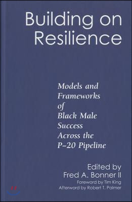 Building on Resilience: Models and Frameworks of Black Male Success Across the P-20 Pipeline