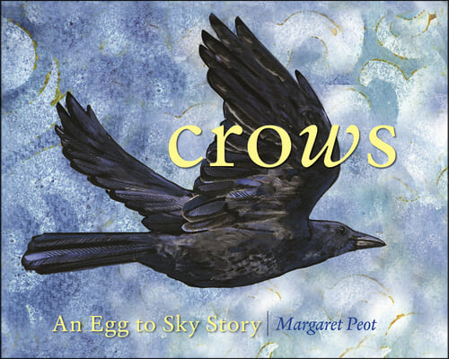 Crows: An Egg-To-Sky Story