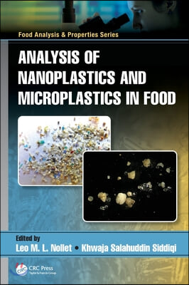 Analysis of Nanoplastics and Microplastics in Food