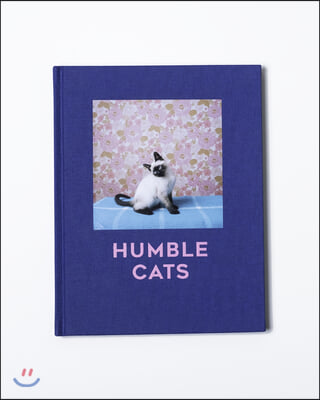 Humble Cats: Feline Photography in Art