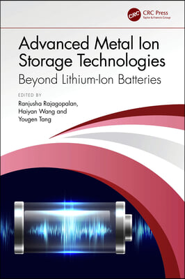 Advanced Metal Ion Storage Technologies: Beyond Lithium-Ion Batteries