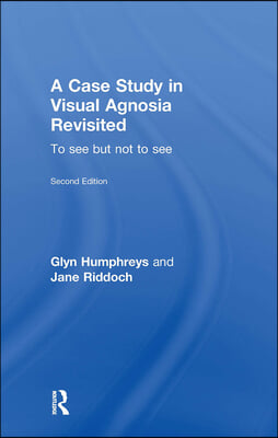 Case Study in Visual Agnosia Revisited