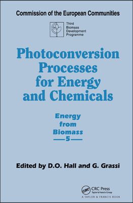 Photoconversion Processes for Energy and Chemicals