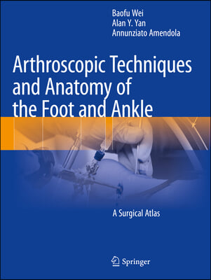 Arthroscopic Techniques and Anatomy of the Foot and Ankle: A Surgical Atlas