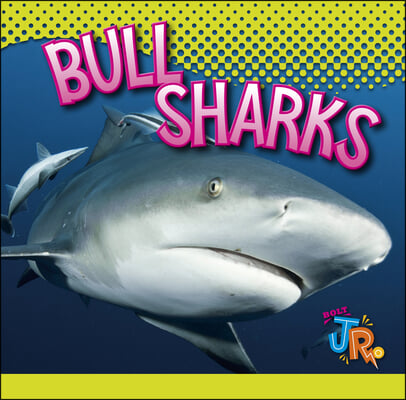 Bull Sharks