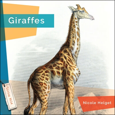 Giraffes