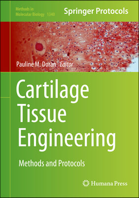 Cartilage Tissue Engineering