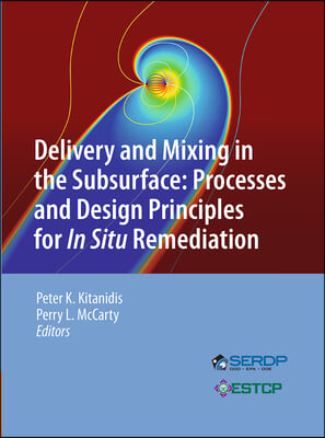 Delivery and Mixing in the Subsurface