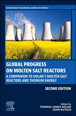 Global Progress on Molten Salt Reactors: A Companion to Dolan&#39;s Molten Salt Reactors and Thorium Energy