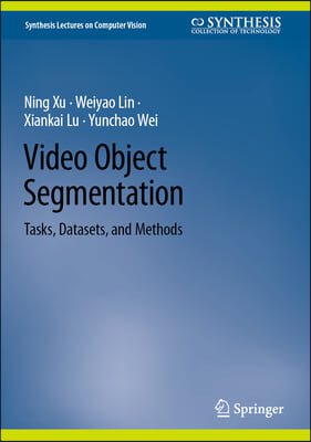 Video Object Segmentation: Tasks, Datasets, and Methods