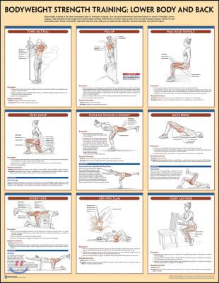 Bodyweight Strength Training Poster