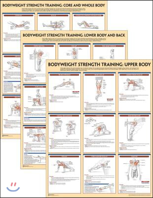 Bodyweight Strength Training Anatomy Poster