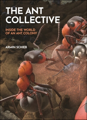 The Ant Collective: Inside the World of an Ant Colony