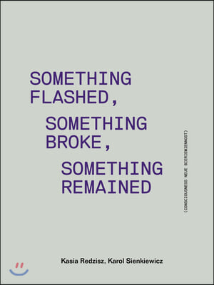 Something Flashed, Something Broke, Something Remained: Consciousness Neue Bieriemiennost