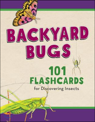 Backyard Bugs